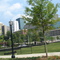 Atlanta