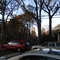 PEIDMONT AT 7TH - NORTH VIEW