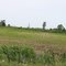 Plainfield at McClellan, IN