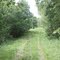 Grass Road of Beaverville