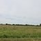 Grassland of Beaverville