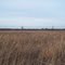 Iroquois County State Wildlife Area