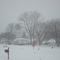 Snow in Circleville