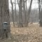 Collecting Sap at Funks Grove Route 66