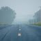 Misty Morning
