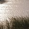 Shimmering Pond