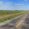 Country Road, Farmland