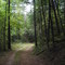 Blood mountain cove trail