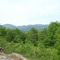 Chestatee Overlook