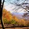 Mountain Chattahoochee Forest Georgia