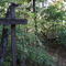 Byron Reese Trail