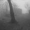 Fog on Top of Blood MT.