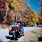 Georgia. Wolf Pen Gap Rd, near Suches, GA, oct 2000