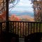 Sitting on the Porch at the Cabin
