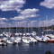 Sailboats at Prairie Creek Reservoir