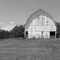 Michael Barn