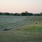 Rural Harris County