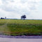 Indiana: Nine Mile