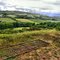 ungated landscape