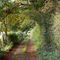 Bridleway to Ashley Barn, near Tolpuddle