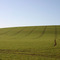 Field near Aldbourne