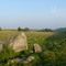 Fyfield Down
