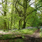 West Woods