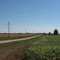 facing south towards Bement Illinois