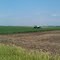 Side-Dressing Corn