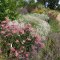 Lovely perennial borders at 'Breezy Knees' Nursery.