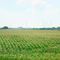 Windmill Farm from the Blue Star Rest Stop