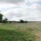 Set-aside near Ascott-under-Wychwood