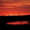 red sky on canvey marshes