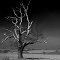 "bowers gifford" essex. mar 2013