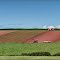 Potato harvesting near St Brides, Wales.