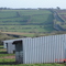 capeston farm, east field