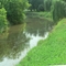 Kyte River upstream from Flagg Rd in Rochelle