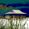 StudioDSC - Pavilion