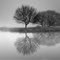 Mystic Calm