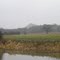 Locally known Mount Jud (139m), spoil heap at the former Judkins Quarry from the Coventry Canal