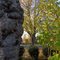 Rock park is small but full of old trees and colour.Hinckley