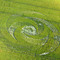 2007.06.10 - UK - Hampshire, Up Somborne, nr Winchester (orge - 60m)