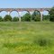 Wild flowers and Viaduct