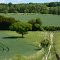 Green Lane near Farley Mount, Winchester - Timeless Countryside scene
