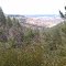NF-048, viewpoint