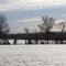 Tattletown Road Farm Field