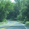 Rt 528 East