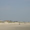 Stone Harbor