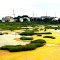 Flat lands