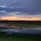 Twilight over the sod field